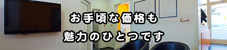お手軽な価格も魅力のひとつです