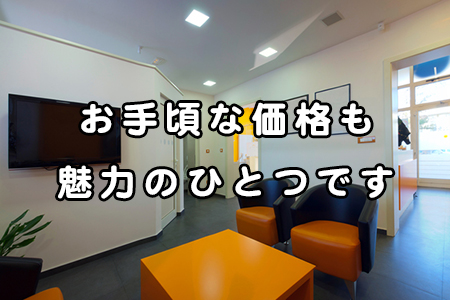 お手軽な価格も魅力のひとつです